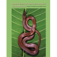  Natural Histroy Of West Indian Reptiles And Amphibians – Professor Robert Powell