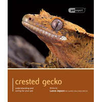  Crested Gecko - Pet Expert – Lance Jepson