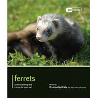 Ferrets - Pet Friendly – Anne McBride