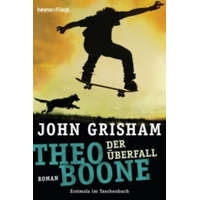  Theo Boone - Der Überfall – John Grisham,Imke Walsh-Araya