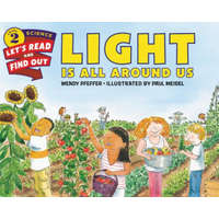  Light Is All Around Us – Wendy Pfeffer