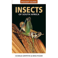 Pocket Guide to Insects of South Africa – Mike Picker,Charles Griffiths