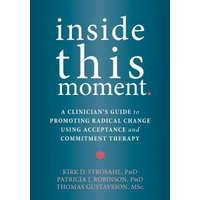  Inside This Moment – Kirk D Strosahl