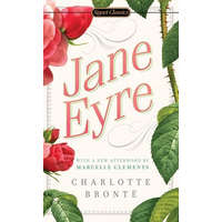  Jane Eyre – Charlotte Bronte,Erica Jong,Marcelle Clements