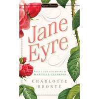 Jane Eyre – Charlotte Bronte,Erica Jong,Marcelle Clements