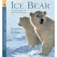  Ice Bear – Nicola Davies,Gary Blythe