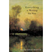 Everything Is Waiting for You – David Whyte