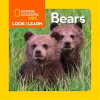 Look and Learn: Bears – National Geographic Society