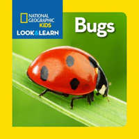  Look and Learn: Bugs – Eva Steele-saccio