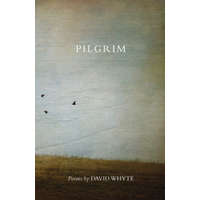 Pilgrim – David Whyte