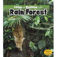 Living and Nonliving in the Rain Forest – Rebecca Rissman