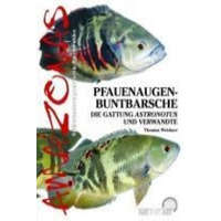  Pfauenaugen-Buntbarsche – Thomas Weidner