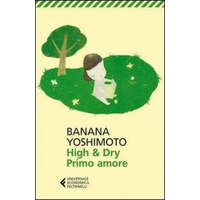 High & Dry. Primo amore – Banana Yoshimoto,G. M. Follaco