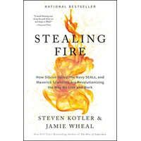  Stealing Fire – Steven Kotler,Jamie Wheal