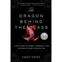  Dragon Behind the Glass – Emily Voigt