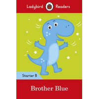 Brother Blue - Ladybird Readers Starter Level B