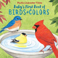 Baby's First Book of Birds & Colors – Phyllis Limbacher Tildes,Phyllis Limbacher Tildes