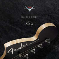 Fender Custom Shop at 30 Years – Steve Pitkin