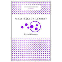 What Makes a Leader? (Harvard Business Review Classics) – Daniel Goleman