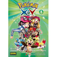 POKEMON X-Y 1