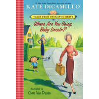  Where Are You Going, Baby Lincoln? – Kate DiCamillo,Chris Van Dusen