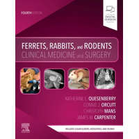  Ferrets, Rabbits, and Rodents – Katherine Quesenberry
