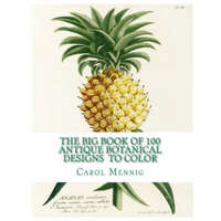  The Big Book of 100 Botanical Designs to Color – Carol Elizabeth Mennig