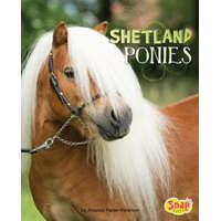 Shetland Ponies – Amanda Parise-Peterson