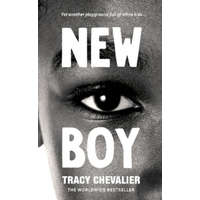 New Boy – Tracy Chevalier
