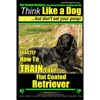  Flat Coated Retriever, Flat Coated Retriever Training AAA AKC - Think Like a Dog But Don't Eat Your Poop! - Flat Coated Retriever Breed Expert Trainin – MR Paul Allen Pearce