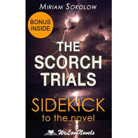  The Scorch Trials (The Maze Runner, Book 2): A Sidekick to the James Dashner Boo – Miriam Sokolow,Welovenovels