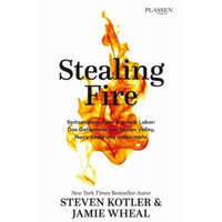  Stealing Fire – Steven Kotler,Jamie Wheal,Hubert Mania