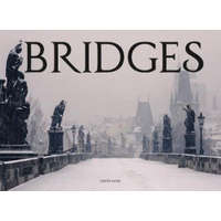 Bridges – David Ross