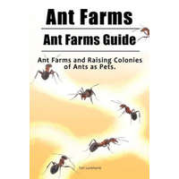 Ant Farms. Ant Farms Guide. Ant Farms and Raising Colonies of Ants as Pets. – Tori Luckhurst