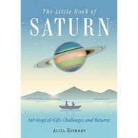  Little Book of Saturn – Aliza (Aliza Einhorn) Einhorn