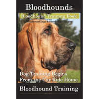  Bloodhounds, Bloodhound Training Book for Both Bloodhound Dogs & Bloodhound Puppies by D!g This Dog Training: Dog Training Begins from the Car Ride Ho – Mr Doug K Naiyn