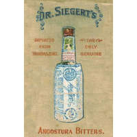  Angostura Bitters Complete Mixing Guide 1908 Reprint – Dr Siegert