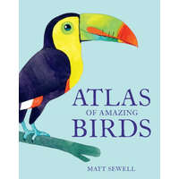  Atlas of Amazing Birds – MATT SEWELL