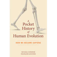  Pocket History of Human Evolution – Silvana Condemi,Francois Savatier