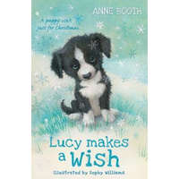 Lucy Makes a Wish – Anne Booth