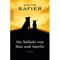 Die Ballade von Max und Amelie – David Safier