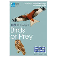 RSPB ID Spotlight - Birds of Prey – TAYLOR MARIANNE