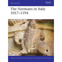  Normans in Italy 1016-1194 – Raffaele D'Amato,Andrea Salimbeti,Florent Vincent