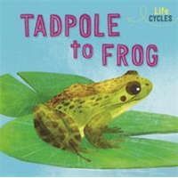  Life Cycles: From Tadpole to Frog – Rachel Tonkin