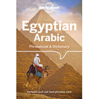  Lonely Planet Egyptian Arabic Phrasebook & Dictionary 5