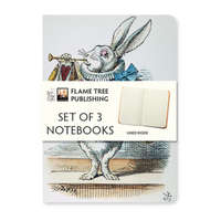 Alice in Wonderland Set of 3 Mini Notebooks