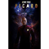  Star Trek Comicband 18: Picard - Countdown – Mike Johnson