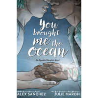  You Brought Me The Ocean: An Aqualad Graphic Novel – Julie Maroh