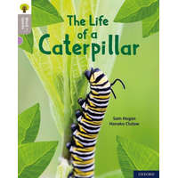  Oxford Reading Tree Word Sparks: Level 1: The Life of a Caterpillar