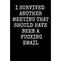  I Survived Another Meeting That Should Have Been A Fucking Email: An Irreverent Snarky Humorous Sarcastic Profanity Funny Office Co-worker Appreciatio – Adult Gratitude Journals &. Notebooks